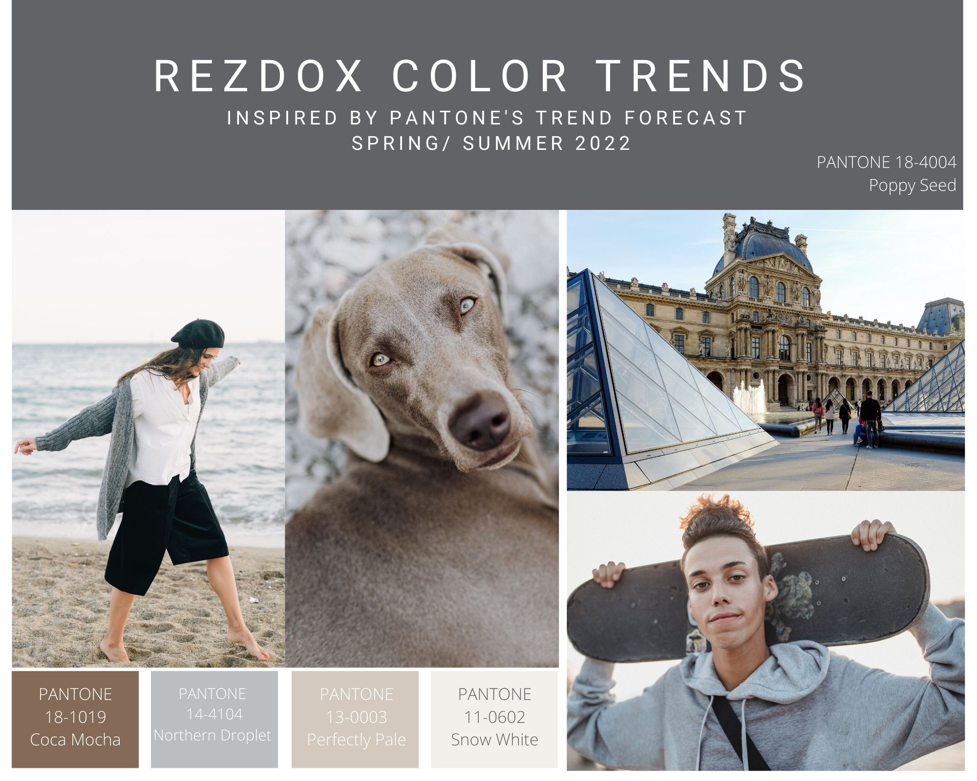 SpringSummerColorTrends2022Monotone.jpg